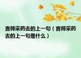 言师采药去的上一句（言师采药去的上一句是什么）