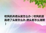 吹风机弄进头发怎么办（吹风机里面进了头发怎么办,进头发怎么清理）