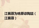 江佩蓉为啥原谅陶喆（江佩蓉）