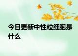 今日更新中性粒细胞是什么