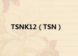 TSNK12（TSN）