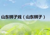山东梆子戏（山东梆子）