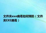 文件夹exe病毒如何预防（文件夹EXE病毒）