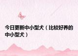今日更新中小型犬（比较好养的中小型犬）