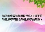 柿子的功效与作用是什么?（柿子的功能,柿子有什么功能,柿子的功效）