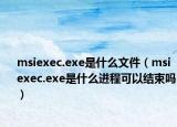 msiexec.exe是什么文件（msiexec.exe是什么进程可以结束吗）
