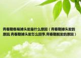 青春期容易掉头发是什么原因（青春期掉头发的原因,青春期掉头发怎么回事,青春期脱发的原因）