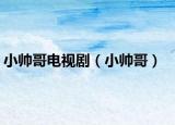 小帅哥电视剧（小帅哥）