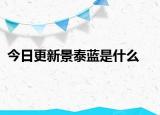 今日更新景泰蓝是什么