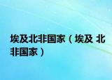 埃及北非国家（埃及 北非国家）