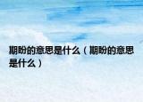 期盼的意思是什么（期盼的意思是什么）