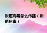 炭疽病毒怎么传播（炭疽病毒）