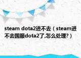 steam dota2进不去（steam进不去国服dota2了,怎么处理?）