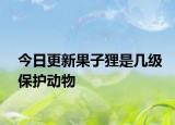 今日更新果子狸是几级保护动物