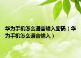 华为手机怎么语音输入密码（华为手机怎么语音输入）