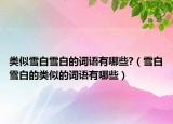 类似雪白雪白的词语有哪些?（雪白雪白的类似的词语有哪些）