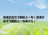 渚清沙白鸟飞回的上一句（渚清沙白鸟飞回的上一句是什么）