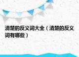 清楚的反义词大全（清楚的反义词有哪些）