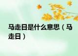 马走日是什么意思（马走日）