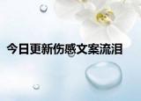 今日更新伤感文案流泪
