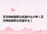 正方体的面积公式是什么小学（正方体的面积公式是什么）