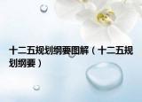 十二五规划纲要图解（十二五规划纲要）