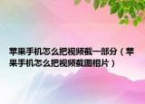 苹果手机怎么把视频截一部分（苹果手机怎么把视频截图相片）