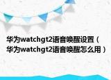 华为watchgt2语音唤醒设置（华为watchgt2语音唤醒怎么用）