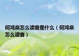 何鸿燊怎么读音是什么（何鸿燊怎么读音）