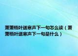 萧萧梧叶送寒声下一句怎么读（萧萧梧叶送寒声下一句是什么）