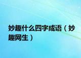 妙趣什么四字成语（妙趣网生）