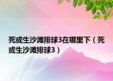 死或生沙滩排球3在哪里下（死或生沙滩排球3）