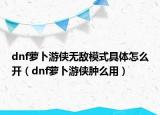 dnf萝卜游侠无敌模式具体怎么开（dnf萝卜游侠肿么用）