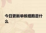 今日更新单核细胞是什么