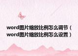 word图片缩放比例怎么调节（word图片缩放比例怎么设置）