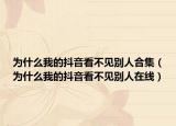为什么我的抖音看不见别人合集（为什么我的抖音看不见别人在线）