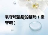 袁守城最后的结局（袁守城）
