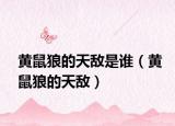 黄鼠狼的天敌是谁（黄鼠狼的天敌）