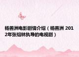 杨善洲电影剧情介绍（杨善洲 2012年张绍林执导的电视剧）