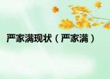严家满现状（严家满）