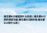维生素b12是起到什么作用（维生素b12的作用及功能,维生素b12的作用,维生素b12有什么用）