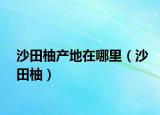 沙田柚产地在哪里（沙田柚）