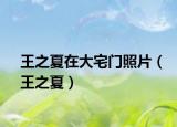 王之夏在大宅门照片（王之夏）
