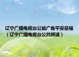 辽宁广播电视台公益广告平安是福（辽宁广播电视台公共频道）