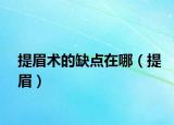 提眉术的缺点在哪（提眉）
