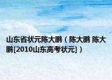 山东省状元陈大鹏（陈大鹏 陈大鹏[2010山东高考状元]）
