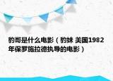 豹哥是什么电影（豹妹 美国1982年保罗施拉德执导的电影）
