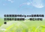 任务管理器中的alg.exe是病毒吗我觉得他不是很顺眼~ ~哪位大虾知道
