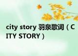 city story 羽泉歌词（CITY STORY）