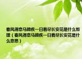 春风得意马蹄疾一日看尽长安花是什么哲理（春风得意马蹄疾一日看尽长安花是什么意思）